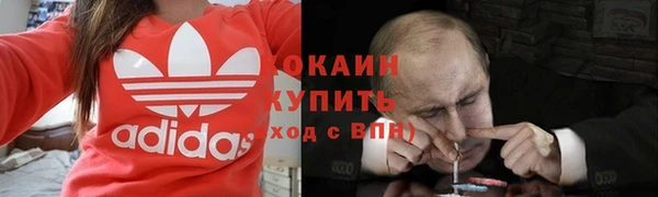 гидропоника Кодинск