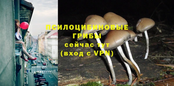синтетический гашиш Козловка